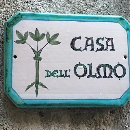 Casa Dell'Olmo Apartamento Orvieto Exterior foto